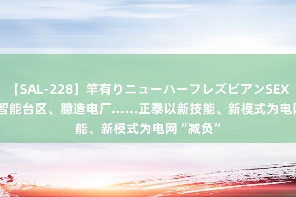 【SAL-228】竿有りニューハーフレズビアンSEX1125分 智能台区、臆造电厂......正泰以新技能、新模式为电网“减负”