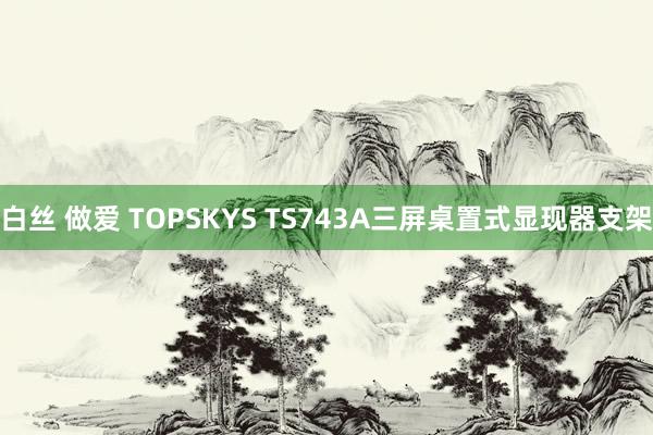 白丝 做爱 TOPSKYS TS743A三屏桌置式显现器支架